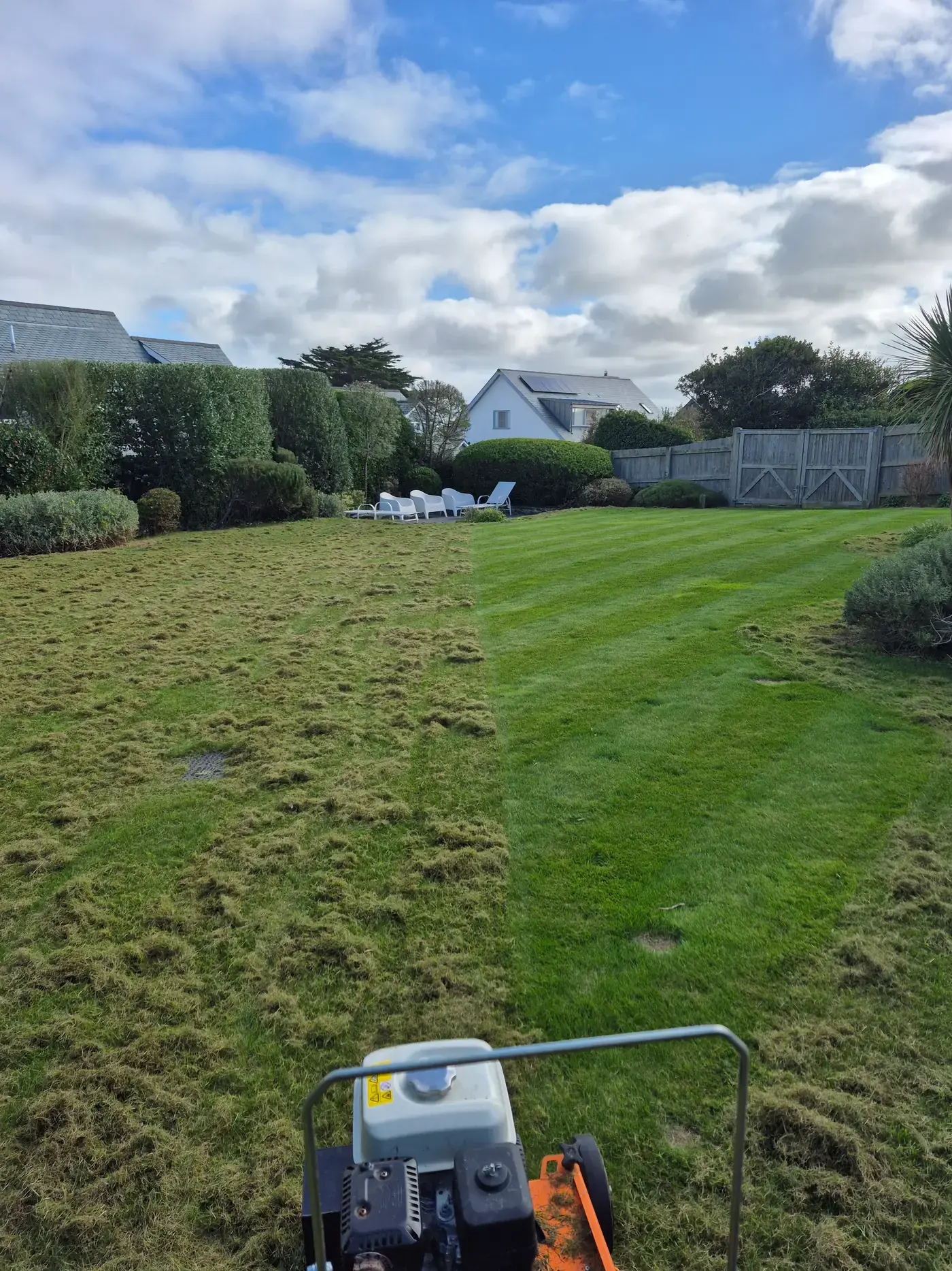 Mid-renovation lawn in North Cornwall part-scarified by Green Stripe with thatch and moss removed in passes